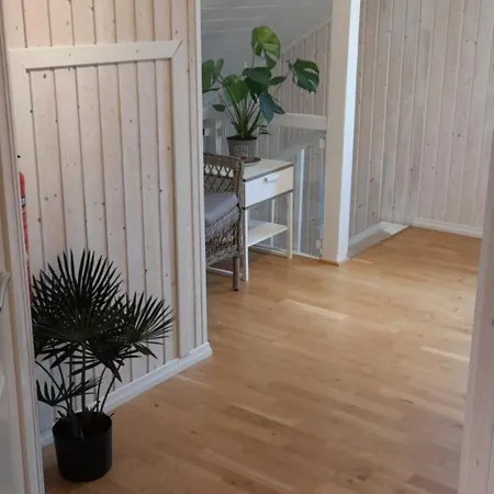 Palmehagen Kirkenes