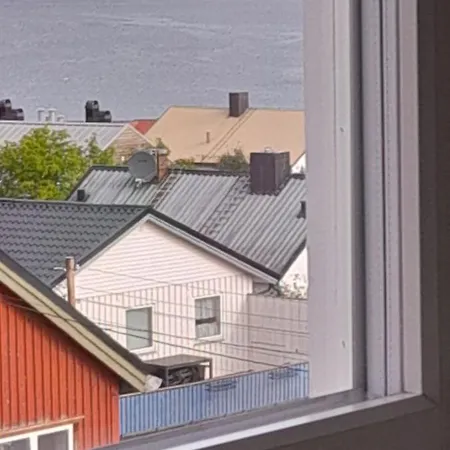 Palmehagen