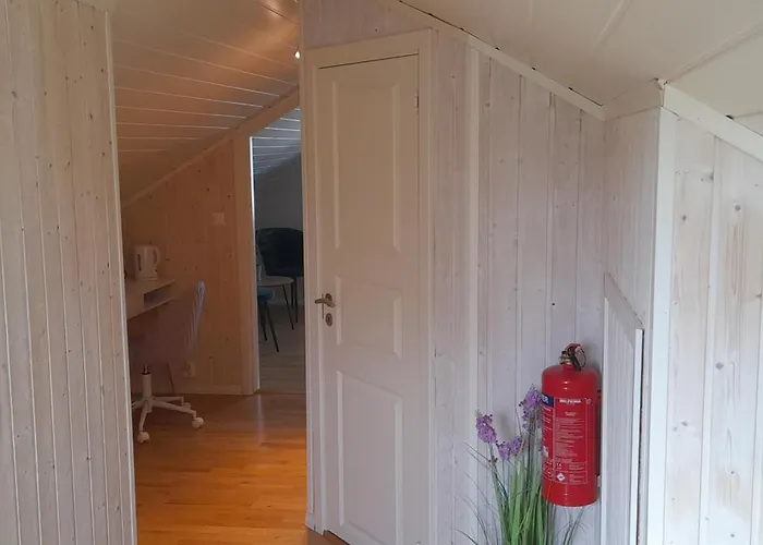 Nocleg ze śniadaniem Palmehagen 3*